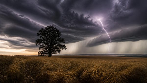 Gewitter entwickeln sich schneller als gedacht. Welche Verhaltensweisen das Risiko erhöhen und wie Sie sich schützen.