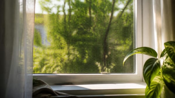 Mit diesem Lidl Gadget bleibt die Wohnung insektenfrei