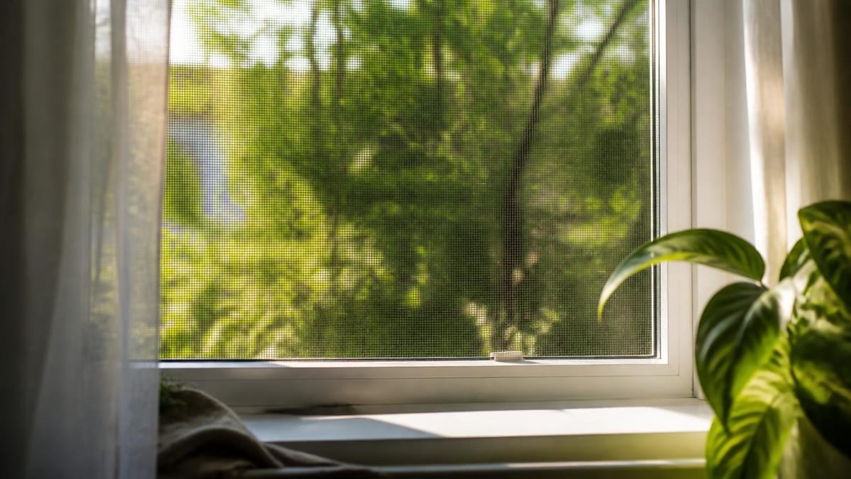 Insektenschutz für Fenster verhindert ungebetene Gäste im Sommer. Wir zeigen, worauf beim Kauf zu achten ist.